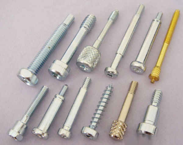 Computer Screws